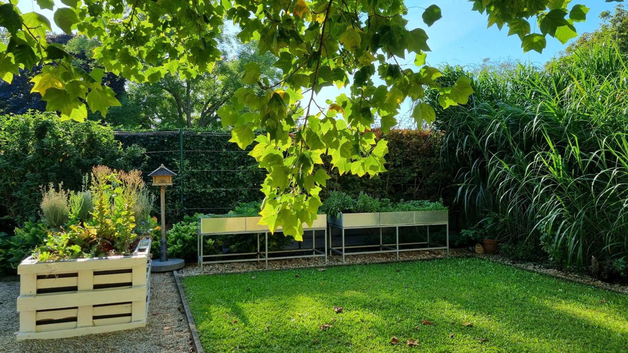 Birkenhof Gols - B & B - Wohlfuehl Hotel Mit Wochenend-Restaurant Eksteriør billede